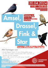 Seminar: Amsel, Drossel, Fink und Star - Unsere hilfsbedürftigen Singvögel