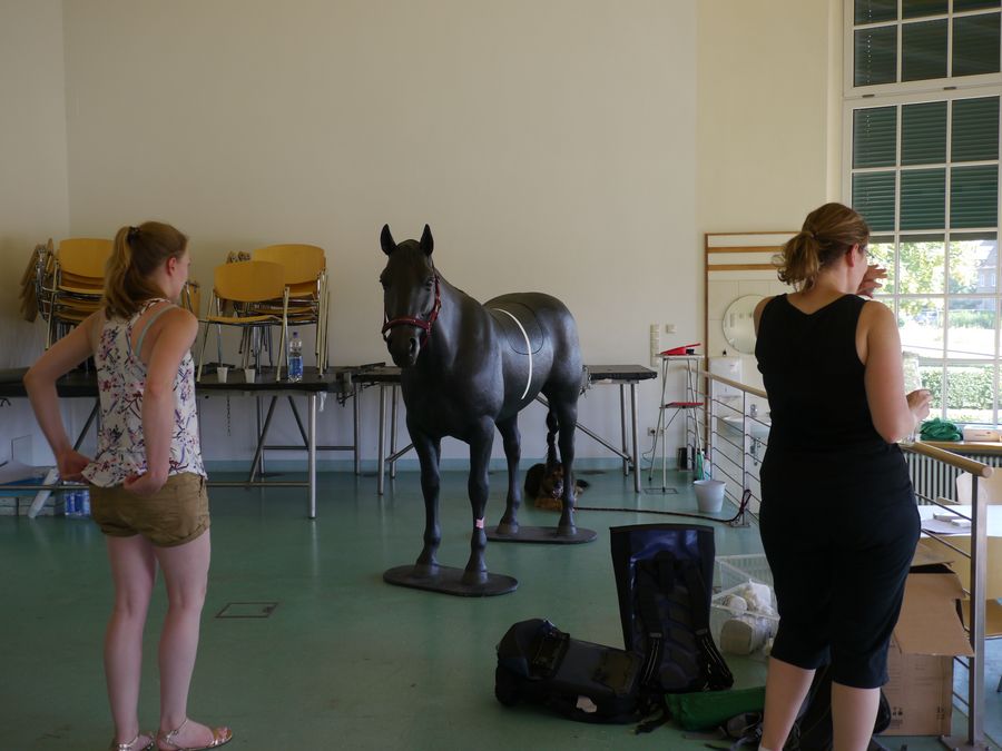 zur Vergrößerungsansicht des Bildes: Blick in den Halbrundbau mit 2 Personen und Pferdesimulator