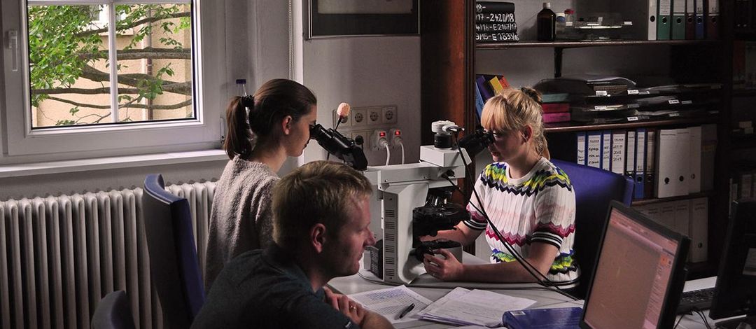drei Personen mikroskopieren die Einsendungsfälle des Tages an Mikroskop und Computerbildschirm in der Biobliothek des Instituts