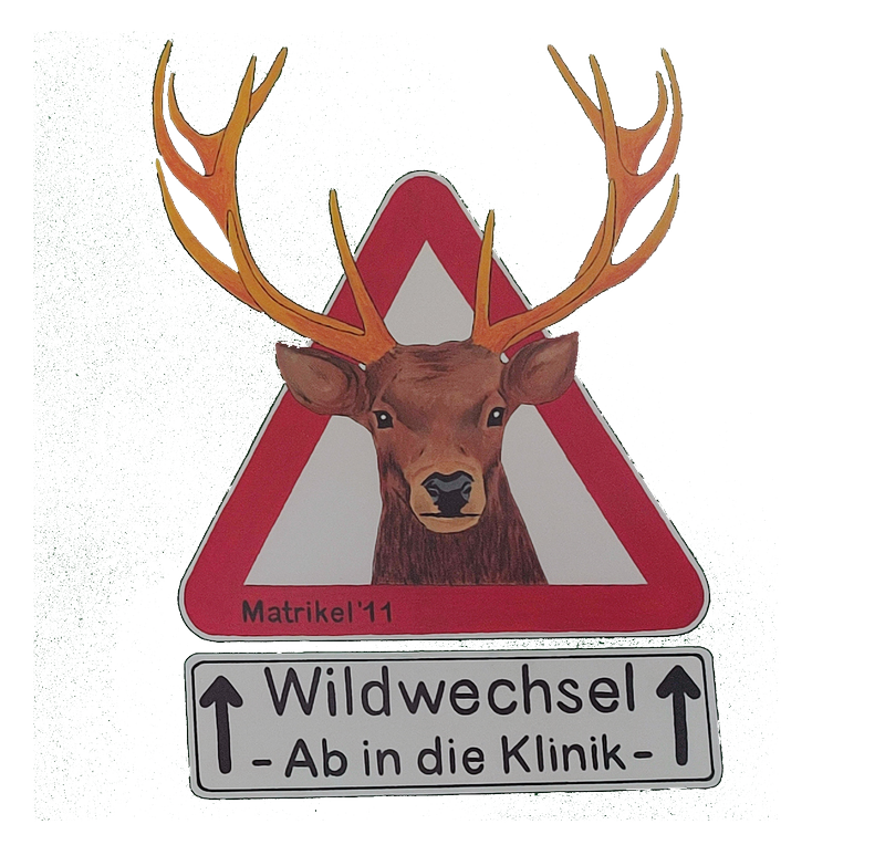 zur Vergrößerungsansicht des Bildes: 