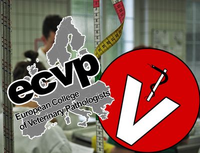 Logo des European College of Veterinary Pathologists und Veterinärmedizinsymbol