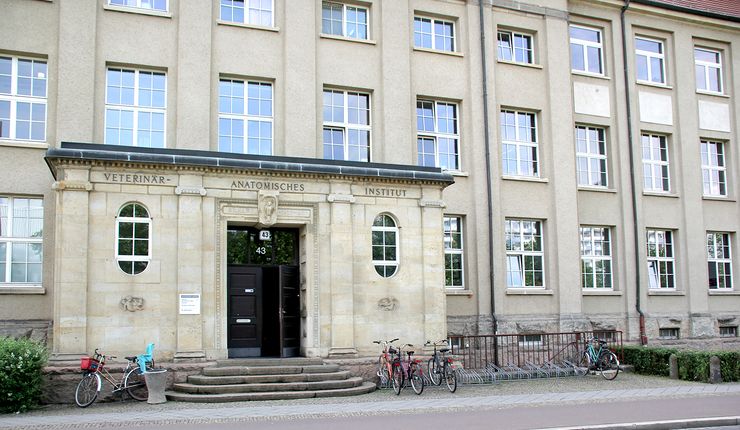 Hinter diesem Portal verbirgt sich das Veterinär-Anatomische Institut einschließlich der Professuren für Veterinär-Anatomie, Histologie und Embryologie. Foto: Ines Kupfer 