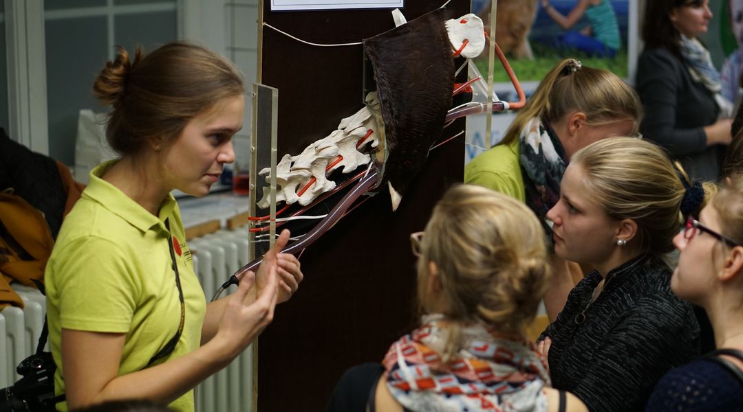 Tutor explains how to take a blood sample of a horse to a group of students