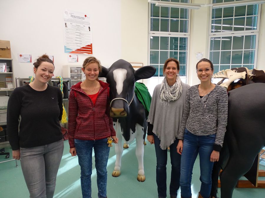 enlarge the image: 4 skillslab managers in front of a cow simulator