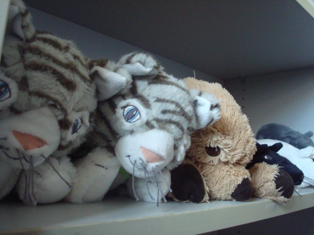 enlarge the image: cuddly toys in a cupboard:two cats, one dog and a mouse in the background