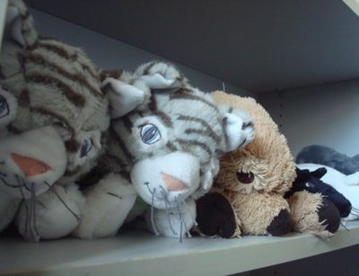 cuddly toys in a cupboard:two cats, one dog and a mouse in the background