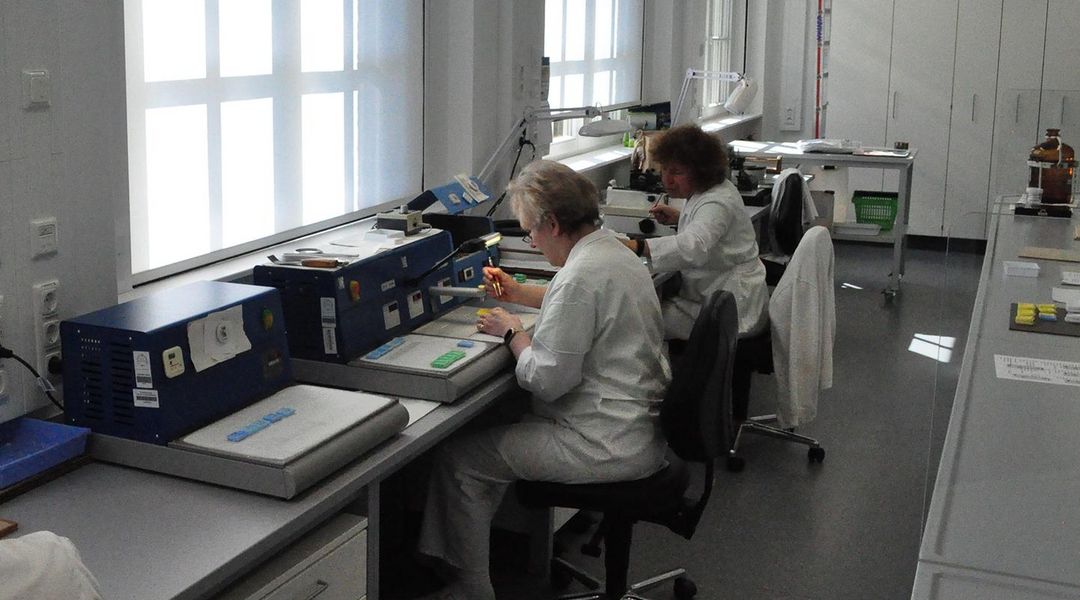 Blick auf drei sitzende Laborantinnen, die histologische Präparate an ihren Mikrotomen anfertigen
