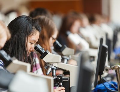 Foto: Studentinnen sitzen im Mikroskopiersaal und schauen durch die Mikroskope