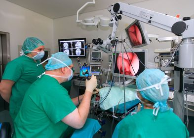Klinik für Kleintiere: Direktor Prof. Dr. Gerhard Oechtering im Jahr 2016 bei der Operation einer Französischen Bulldogge.