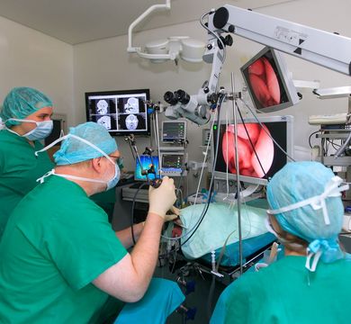 Klinik für Kleintiere: Direktor Prof. Dr. Gerhard Oechtering im Jahr 2016 bei der Operation einer Französischen Bulldogge, Foto: Swen Reichhold Klinik für Kleintiere: Direktor Prof. Dr. Gerhard Oechtering im Jahr 2016 bei der Operation einer Französischen Bulldogge.