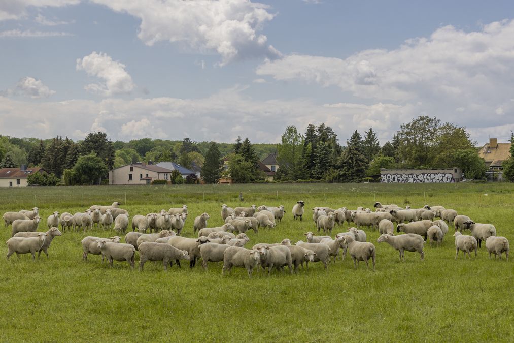 zur Vergrößerungsansicht des Bildes: 