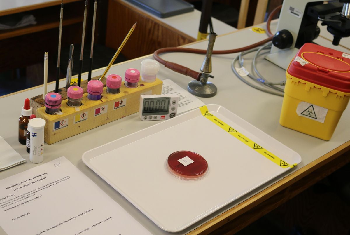 enlarge the image: Mikrobiologischer Untersuchungsgang