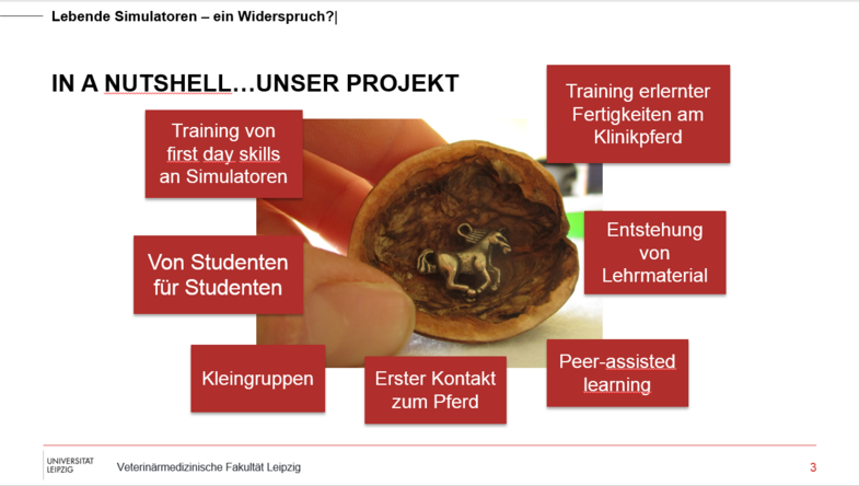 Schema zur Übersicht eines Projektes für Pferdekurse