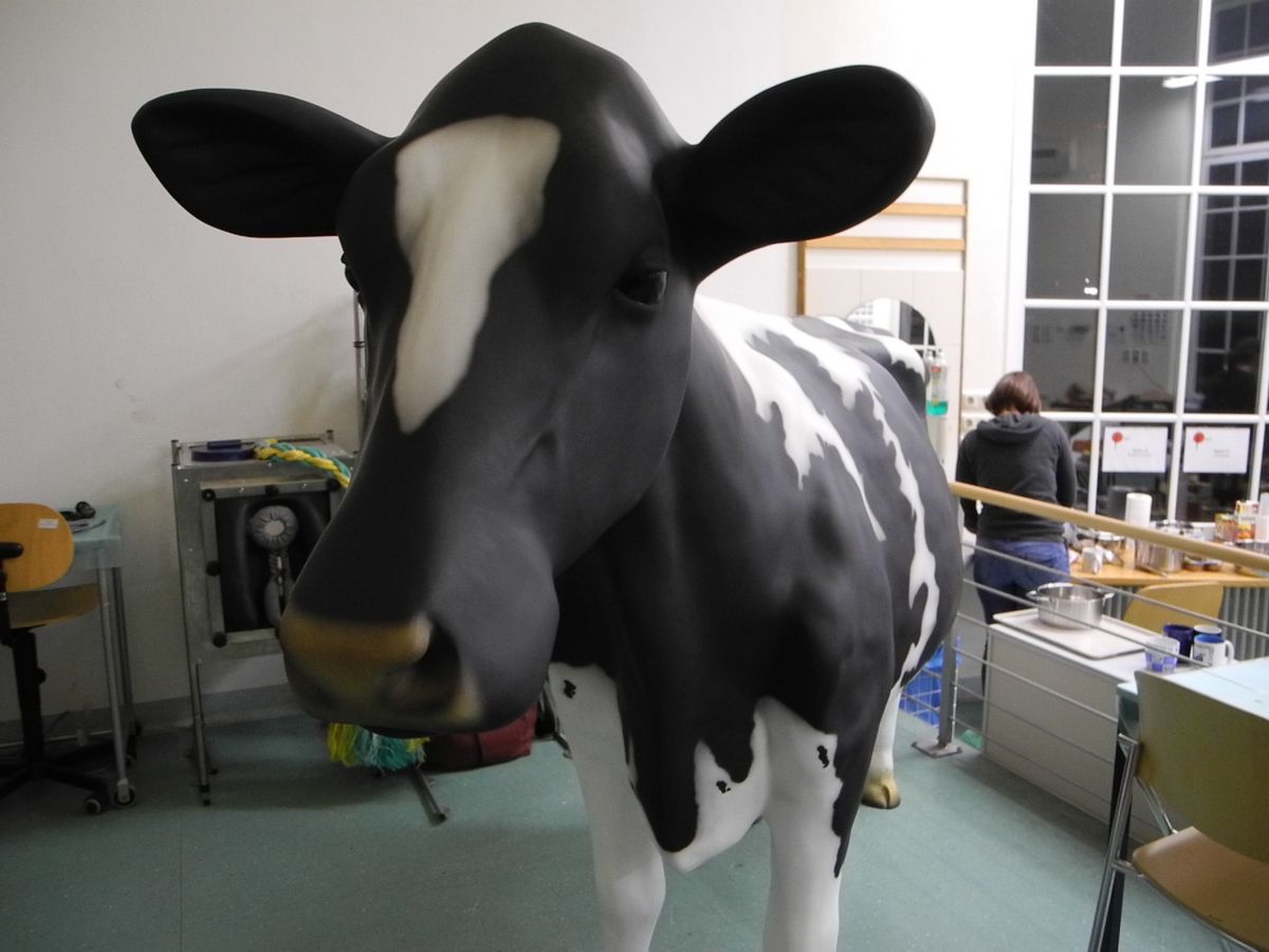 enlarge the image: fiber glass holstein cow as life-size model for simulation