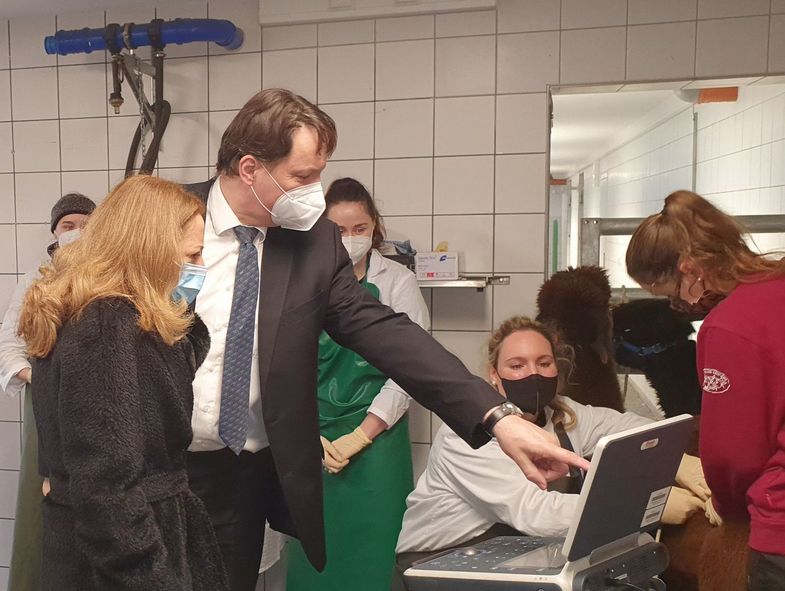 Cassandra Eibl (Mitte) und Alexander Starke von der Klinik für Klauentiere erläuterten der bulgarischen Botschafterin (links) die Ultraschalluntersuchung eines Alpakas.