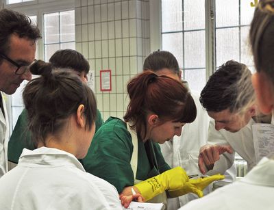 im Zentrum steht eine Pathologin und präsentiert ihrem Diagnostikleiter die erhobenen Befunde an einem Organ in ihrer Hand während die Kollegen um sie herum zuhören