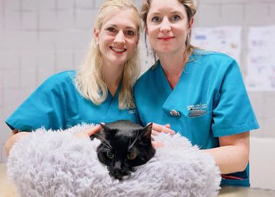 Dr. Katja Kalenyak (links) und Dr. Frauke Rödler mit einer Katze.