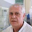 Prof. Dr. Wieland Schrödl