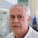 Prof. Dr. Wieland Schrödl