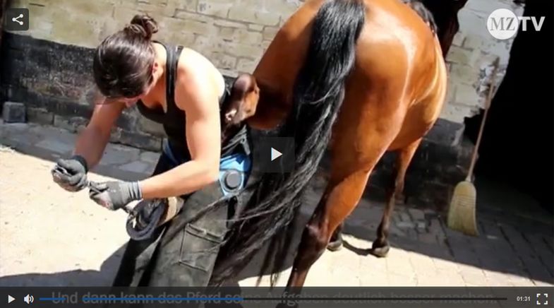 Forscherin und Hufschmiedin Jenny Hagen bringt all ihre Kräfte auf zum Wohle der Pferde-Orthopädie. Foto: MZTV