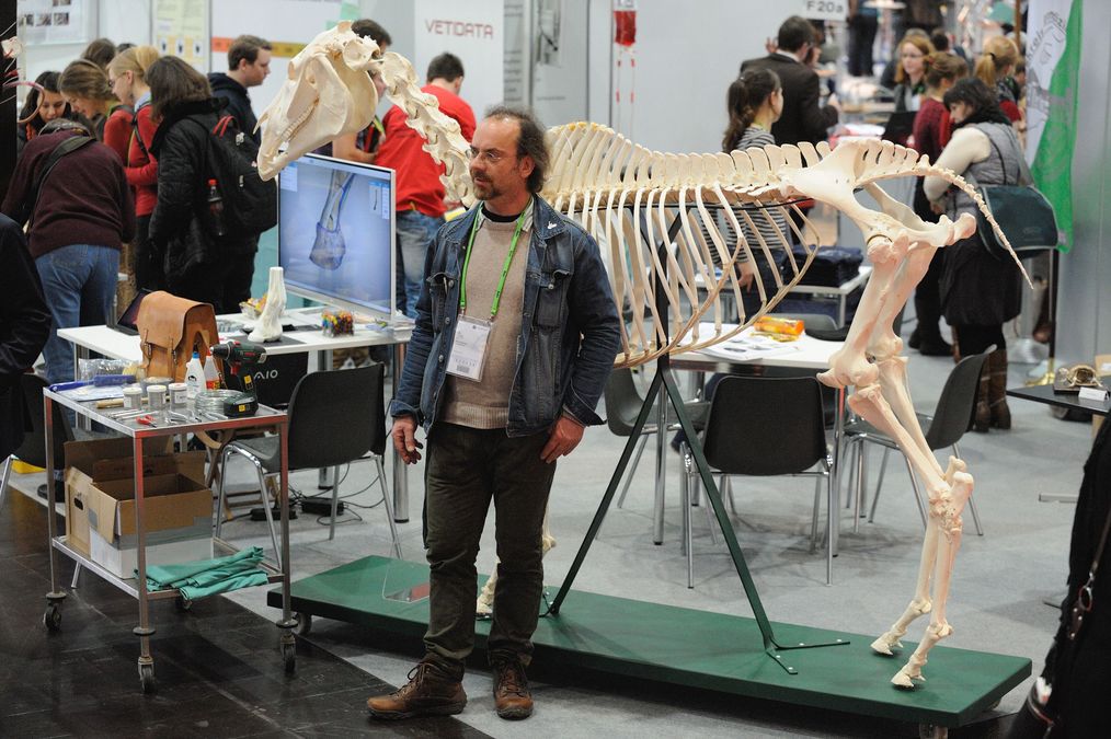 zur Vergrößerungsansicht des Bildes: Präparator Uwe Lippmann vom Veterinär-Anatomischen Institut vor dem Skelett eines Pferdes am Stand der Fakultät