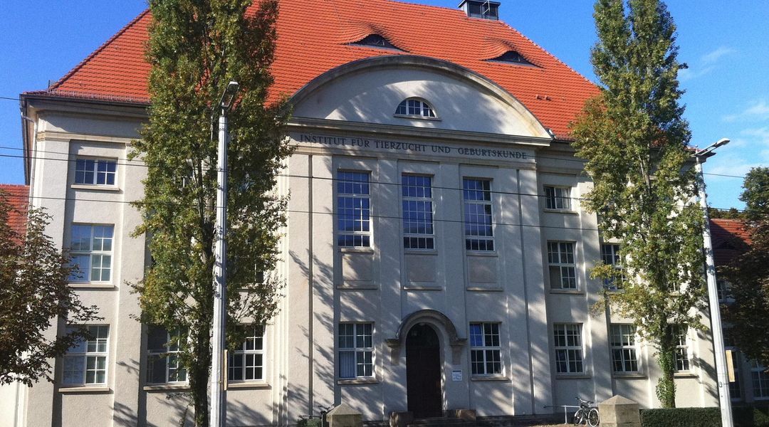 Darstellung des Instituts für Virologie in der Straßenansicht.