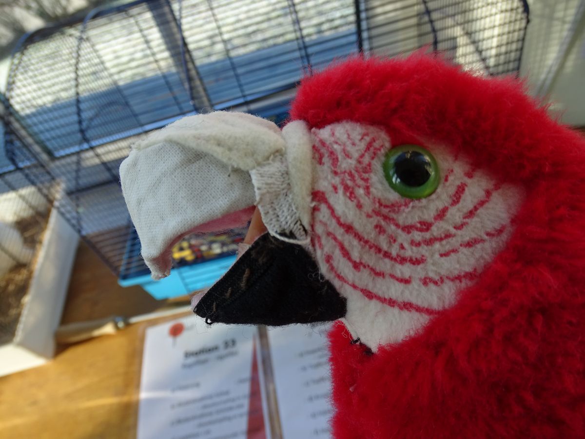 enlarge the image: close-up of the head of a cuddly toy parrot