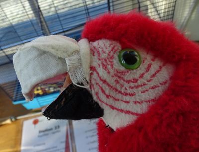 close-up of the head of a cuddly toy parrot