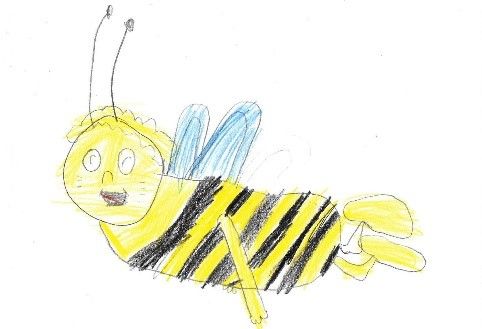Auch Bienen sind Tiere, die von Tierärzten betreut werden, Zeichnung: Schulkind