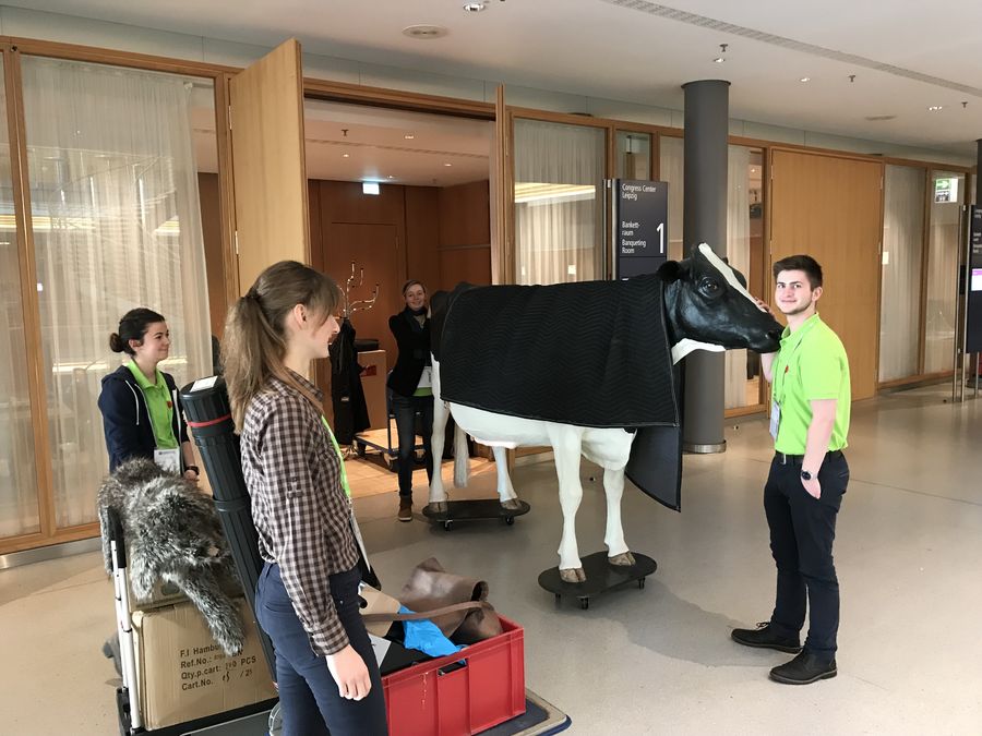 lebensgroße Simulationskuh auf Rollen, gruppiert von Studierenden und Tierärzten auf der Leipziger Messe