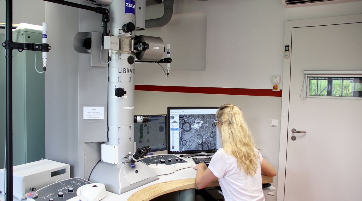 zur Vergrößerungsansicht des Bildes: Das analytische Transmissionselektronenmikroskop Libra 120 (Zeiss) am Veterinär-Anatomischen Institut. Am TEM: Dr. Anja Reinert. Foto: Ines Kupfer