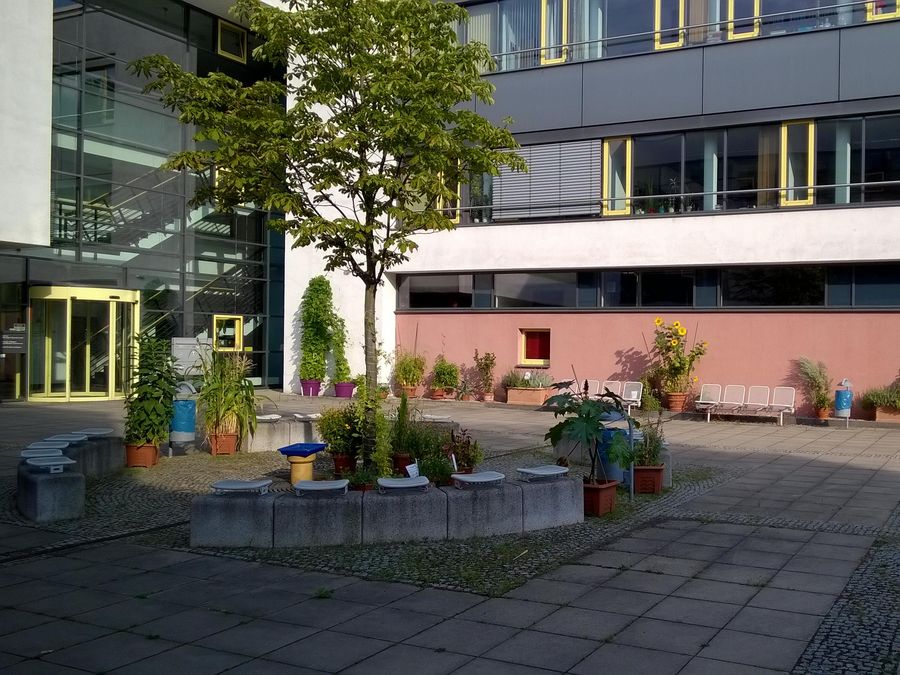 zur Vergrößerungsansicht des Bildes: Blick auf den Veterinärmedizinischen Lehrgarten, Foto: Peggy Braun