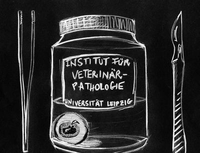 Cartoon-Logo des Instituts für Veterinär-Pathologie