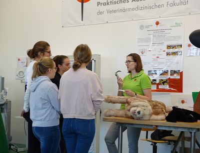 Tutorin erklärt Gruppe von Studierenden die Intubation