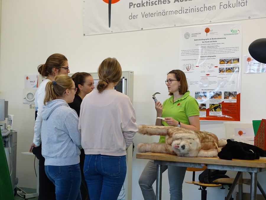 zur Vergrößerungsansicht des Bildes: Tutorin erklärt Gruppe von Studierenden die Intubation